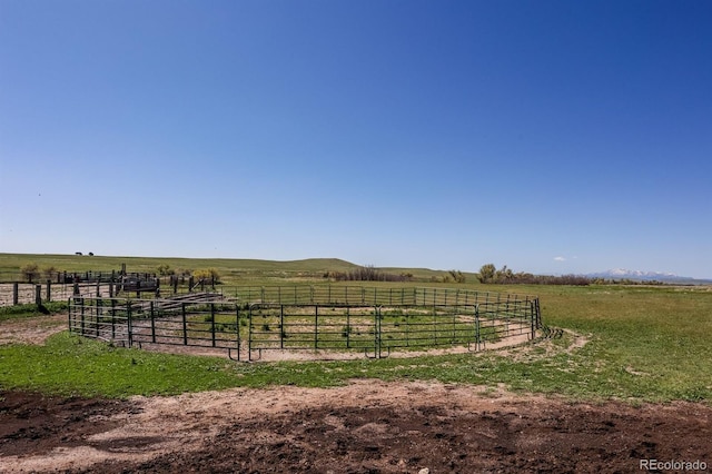 6597 S State Highway 83, Franktown, CO 80116 - photo 45