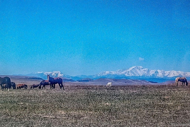 6597 S State Highway 83, Franktown, CO 80116 - photo 39