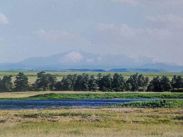 6597 S State Highway 83, Franktown, CO 80116 - photo 36