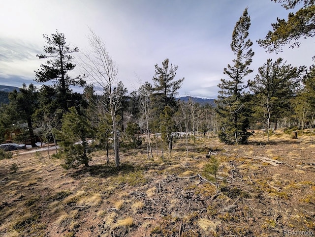 288 Hayes St, Bailey, CO 80421