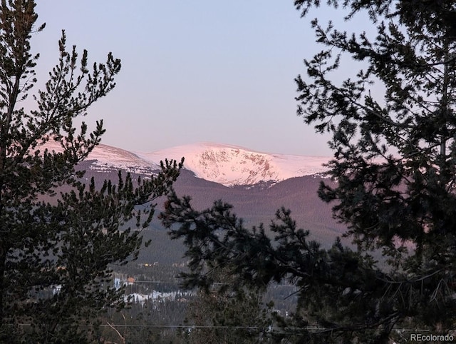 288 Hayes St, Bailey, CO 80421 - photo 7