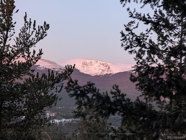 288 Hayes St, Bailey, CO 80421 - photo 8