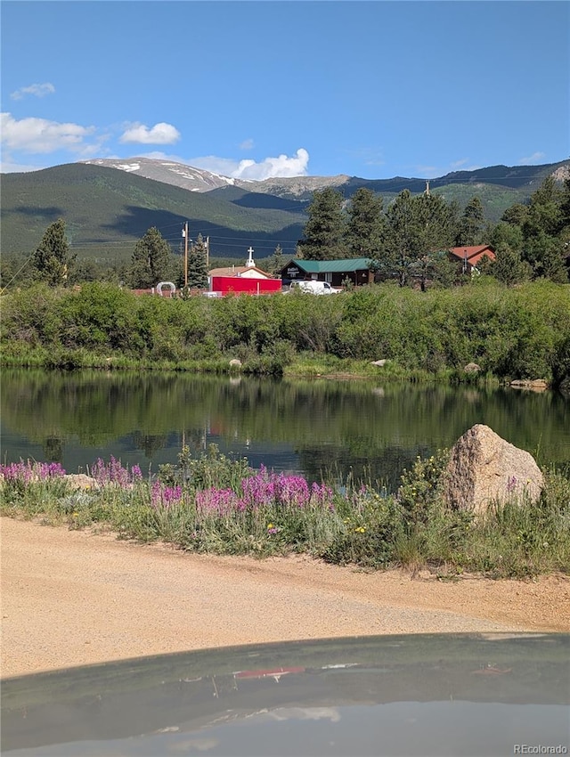 288 Hayes St, Bailey, CO 80421 - photo 19