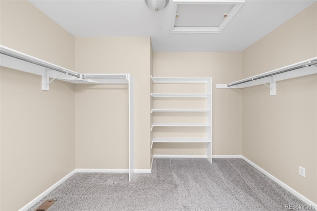 walk in closet featuring carpet and attic access