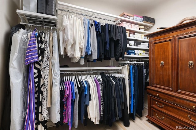 view of walk in closet