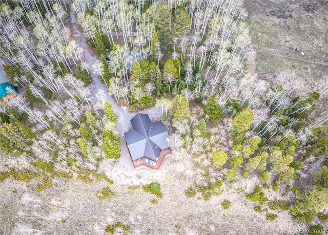 3 Hazel Lake Dr, Cimarron, CO 81220