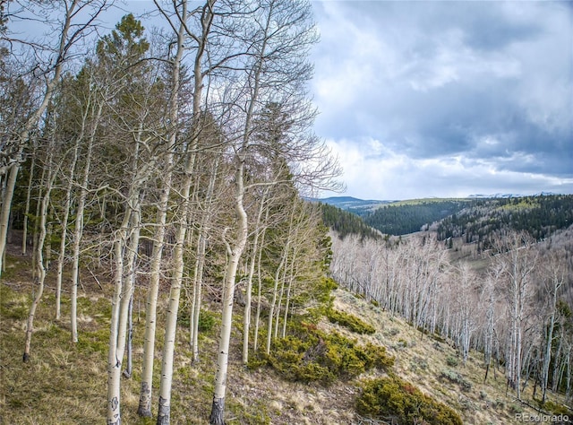 3 Hazel Lake Dr, Cimarron, CO 81220