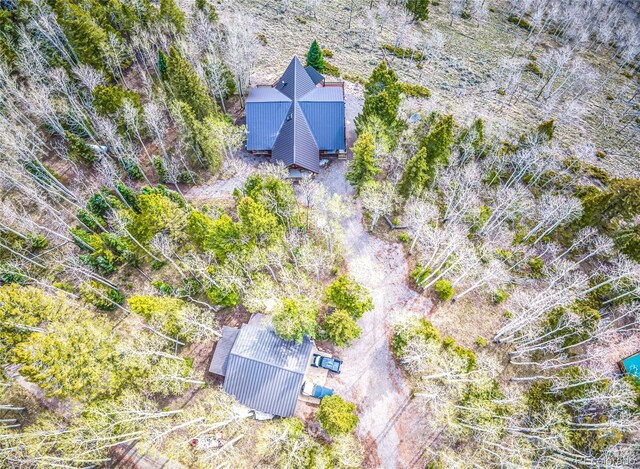 3 Hazel Lake Dr, Cimarron, CO 81220