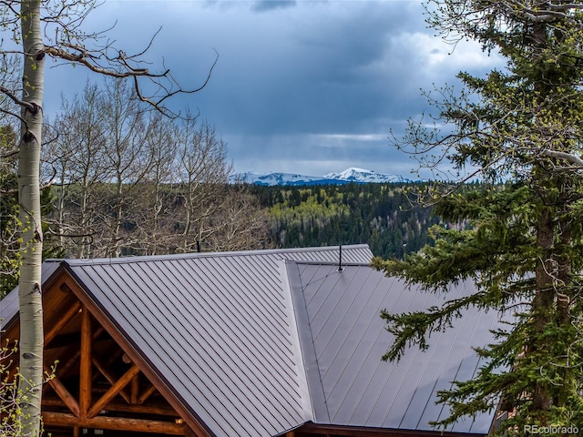 3 Hazel Lake Dr, Cimarron, CO 81220
