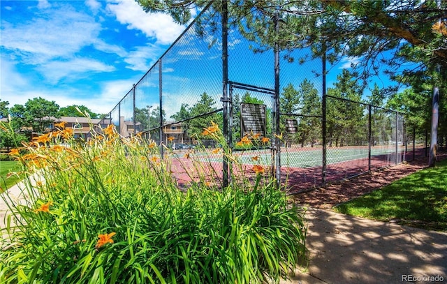 3161 Madison Ave Unit R313, Boulder, CO 80303 - photo 10