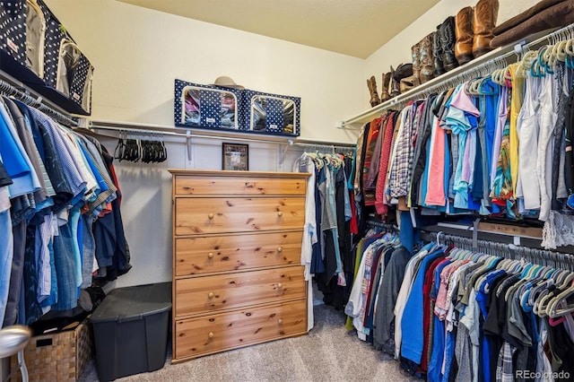 walk in closet featuring carpet floors