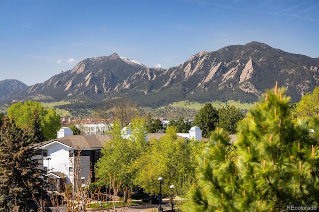 2938 Kalmia Ave Unit 6, Boulder, CO 80301 - photo 2