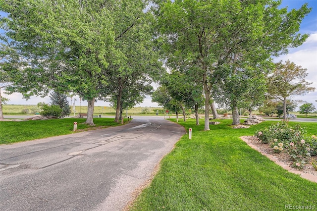14001 E Marina Dr Unit 211, Aurora, CO 80014 - photo 15