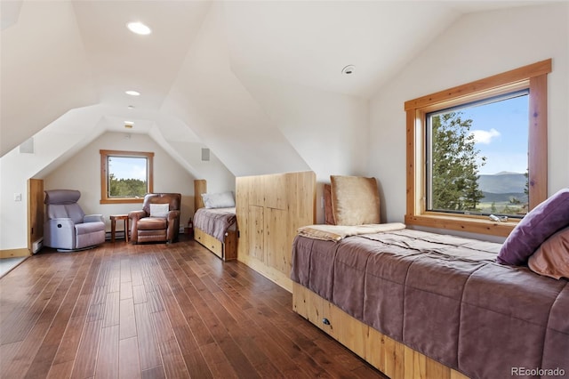 1000 Rangeview Ct, Black Hawk, CO 80422 - bedroom featuring lofted ceiling, dark wood-type flooring, recessed lighting, and baseboard heating