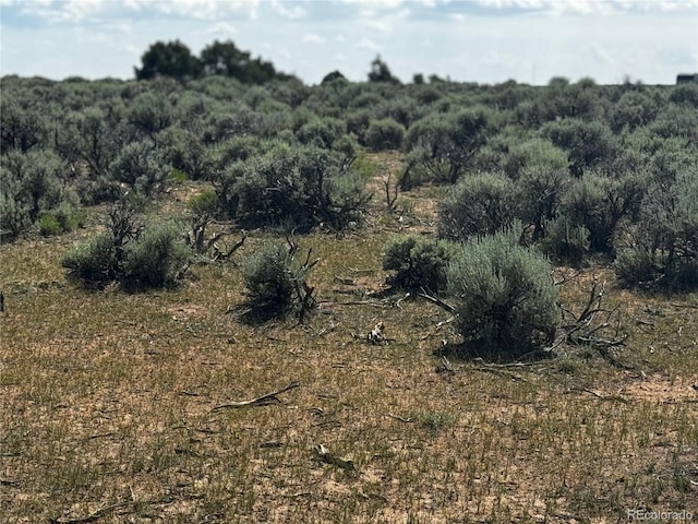 Valley View Dr, San Luis, CO 81152 - photo 9