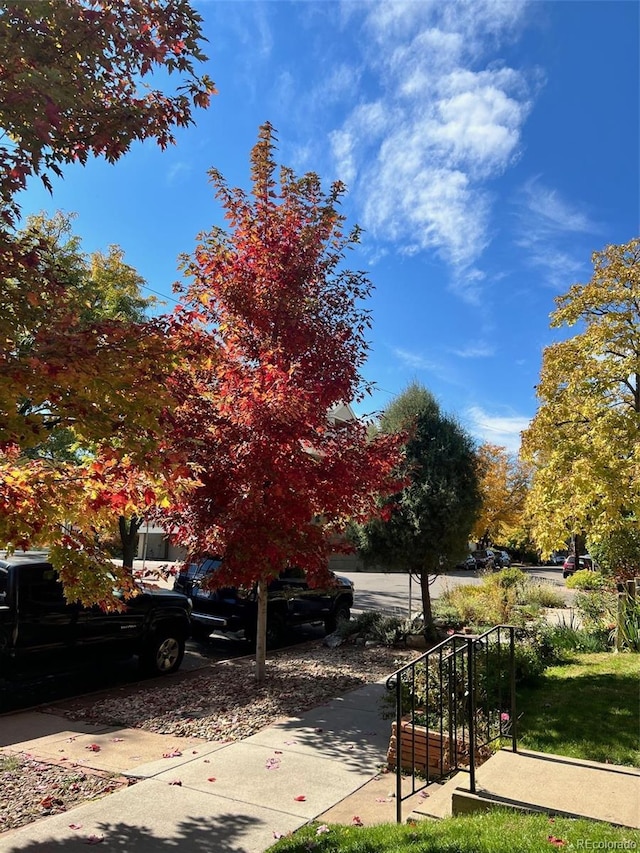 513 E 1st Ave, Denver, CO 80203 - photo 40