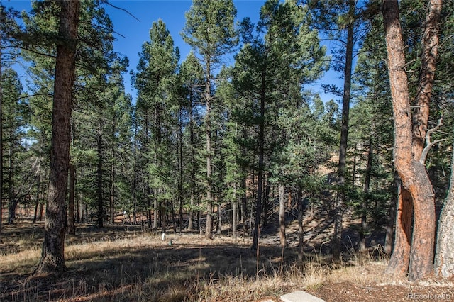 441 Paint Pony Ln, Florissant, CO 80816 - photo 6