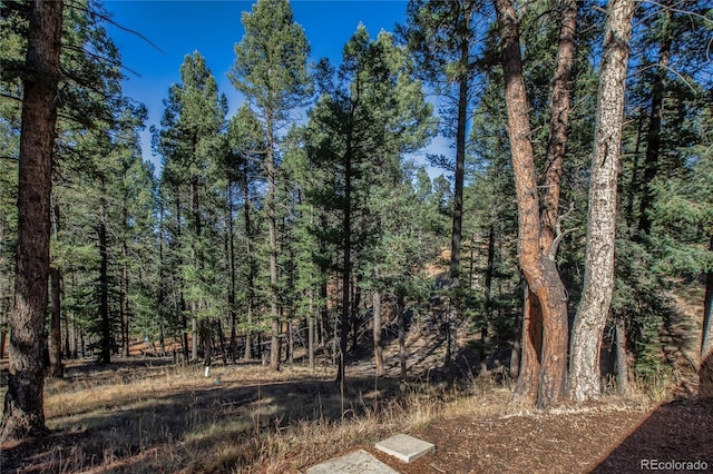 441 Paint Pony Ln, Florissant, CO 80816 - photo 8