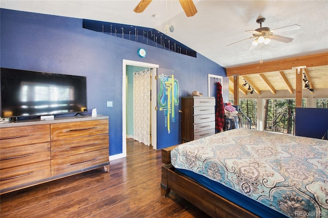 441 Paint Pony Ln, Florissant, CO 80816 - photo 23