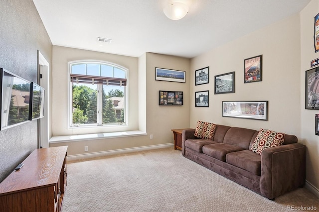 9065 E Lost Hill Trl, Lone Tree, CO 80124 - living area featuring carpet and baseboards
