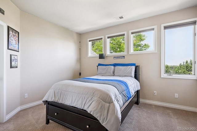 9065 E Lost Hill Trl, Lone Tree, CO 80124 - bedroom featuring carpet floors and baseboards
