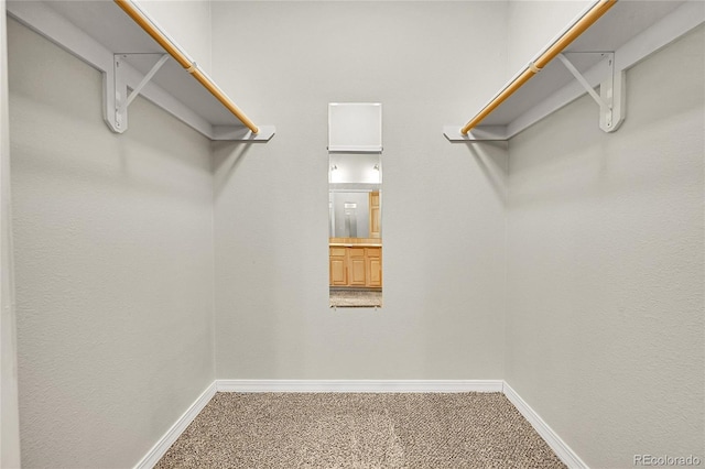 5220 Boardwalk Dr Unit A14, Fort Collins, CO 80525 - walk in closet featuring carpet floors