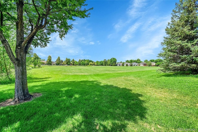 5220 Boardwalk Dr Unit A14, Fort Collins, CO 80525 - view of green lawn