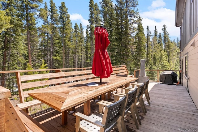 400 Upper Forest Rd, Idaho Springs, CO 80452 - photo 23
