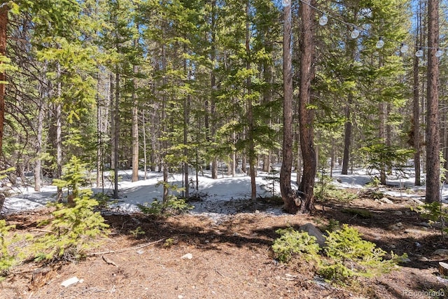 400 Upper Forest Rd, Idaho Springs, CO 80452 - photo 25