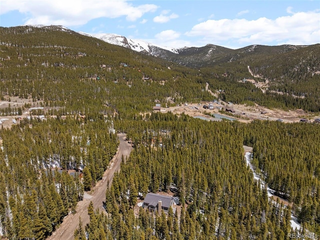 400 Upper Forest Rd, Idaho Springs, CO 80452 - photo 29