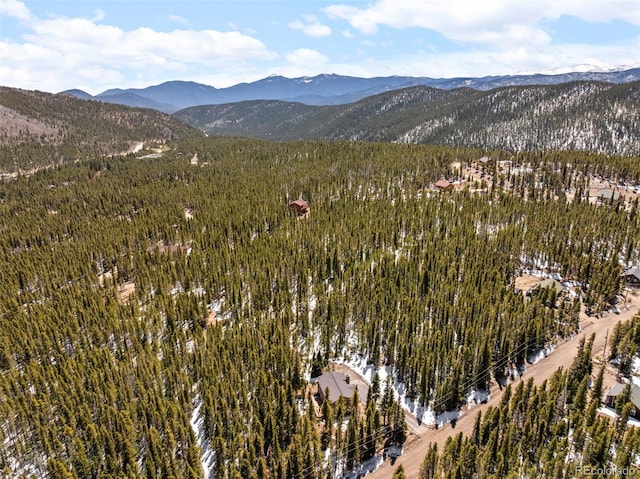 400 Upper Forest Rd, Idaho Springs, CO 80452 - photo 30
