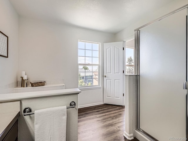21770 Mount Elbert Pl, Parker, CO 80138 - full bath featuring wood finished floors, a shower stall, and vanity