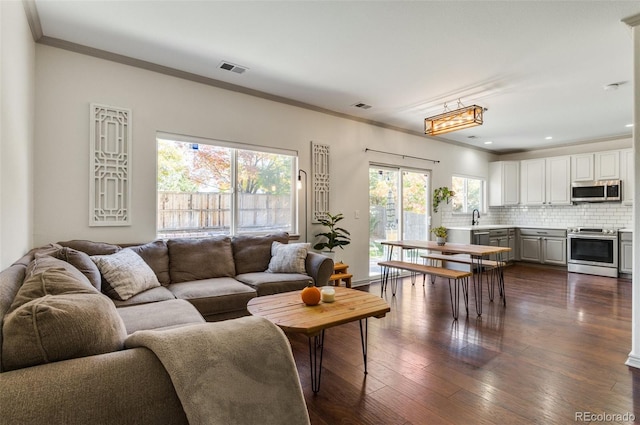 living room featuring crown molding, sink, and dark hardwood / wood-style flooring