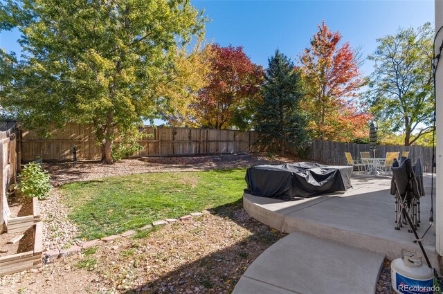 view of yard with a patio