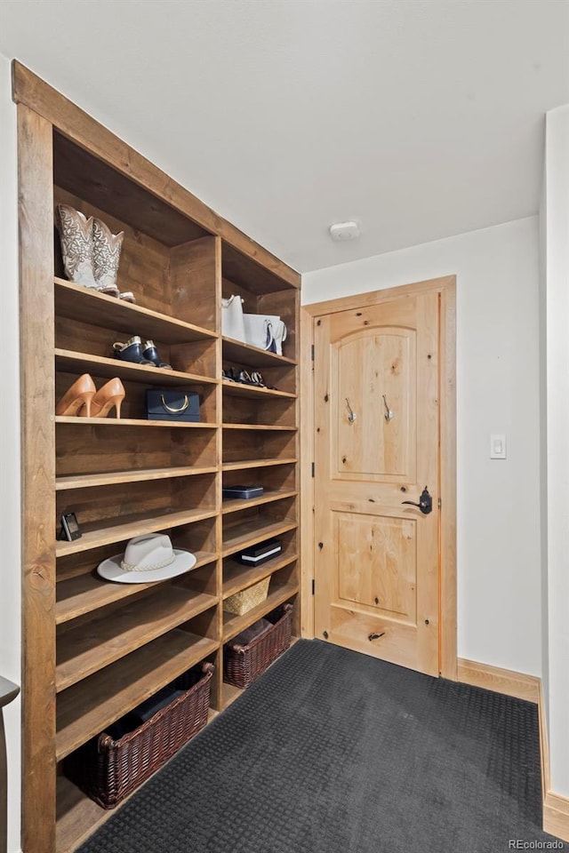 spacious closet with carpet floors