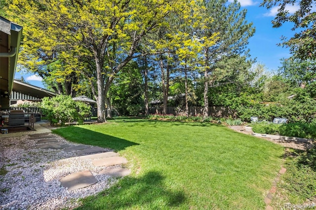255 Kiowa Pl, Boulder, CO 80303 - view of yard