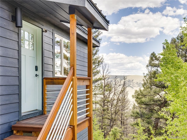 2946 Middle Fork Vis, Fairplay, CO 80440 - property entrance