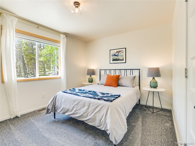 2946 Middle Fork Vis, Fairplay, CO 80440 - bedroom with carpet flooring and baseboards