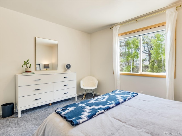 2946 Middle Fork Vis, Fairplay, CO 80440 - view of carpeted bedroom