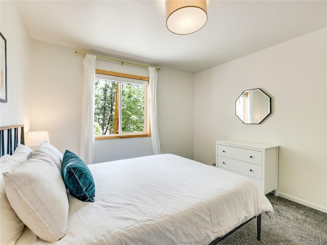 2946 Middle Fork Vis, Fairplay, CO 80440 - bedroom with carpet and baseboards