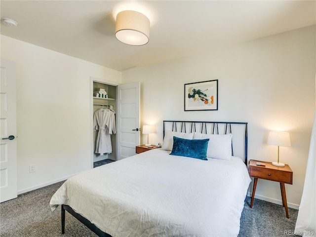 2946 Middle Fork Vis, Fairplay, CO 80440 - bedroom with carpet flooring and a closet