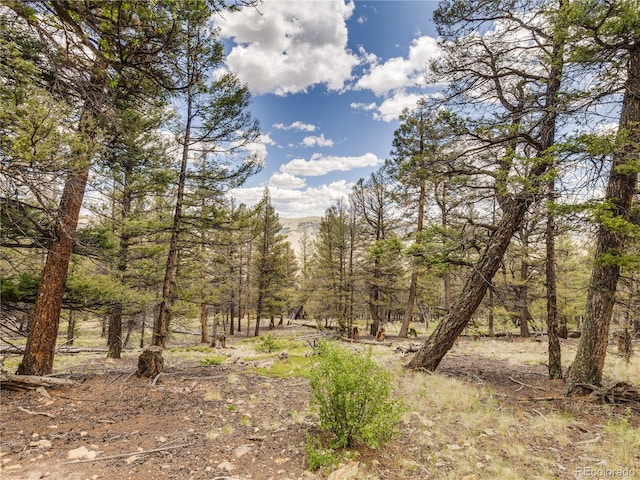 2946 Middle Fork Vis, Fairplay, CO 80440 - view of wooded area