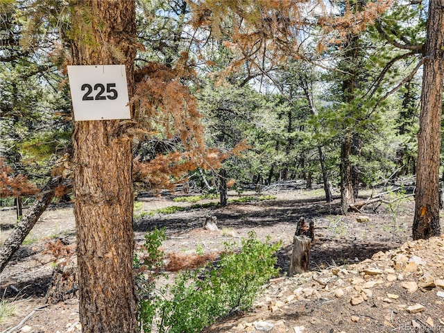2946 Middle Fork Vis, Fairplay, CO 80440 - exterior view