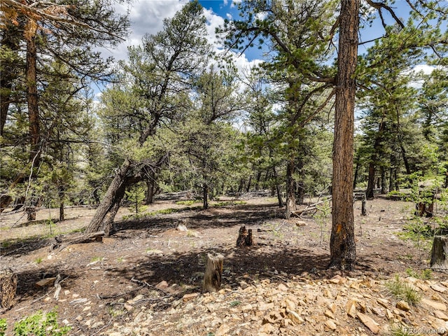 2946 Middle Fork Vis, Fairplay, CO 80440 - view of local wilderness