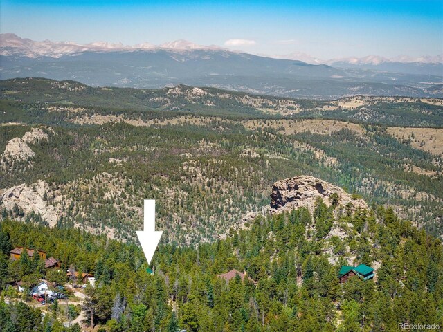 80 Outlook Dr, Golden, CO 80403 - photo 35