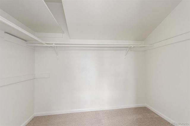 walk in closet featuring carpet flooring