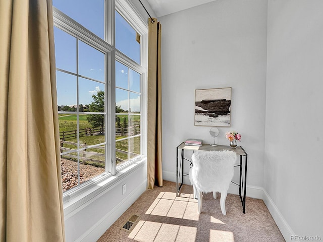 2131 Driver Ln, Erie, CO 80516 - office space featuring light carpet and baseboards