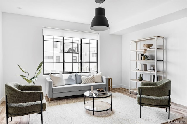 living room with wood-type flooring