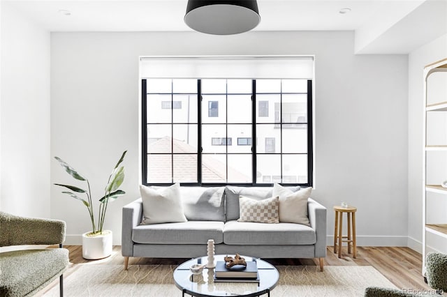 living room featuring hardwood / wood-style floors