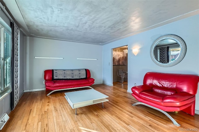 sitting room featuring hardwood / wood-style floors